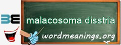 WordMeaning blackboard for malacosoma disstria